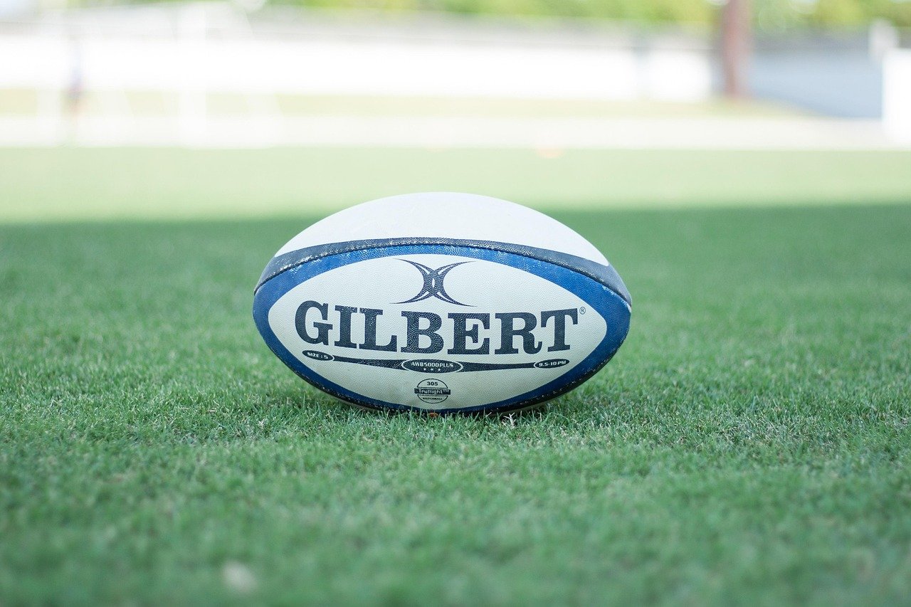 rugby, rugby ball, sports, ball, lawn, rugby, rugby, rugby, rugby, rugby, rugby ball, rugby ball
